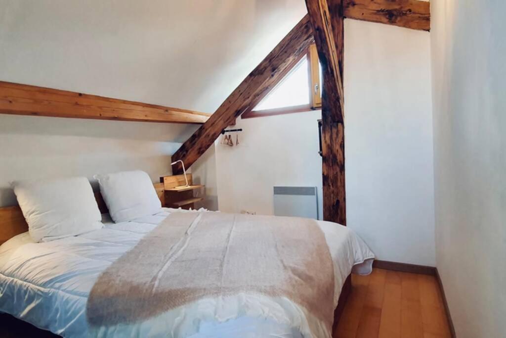 L’appart du Pâquier Apartamento Annecy Exterior foto